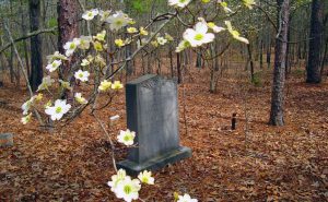 MacLeod grave